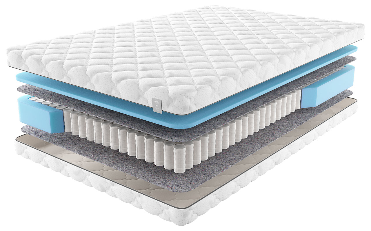 Flepers Rapa Retiform